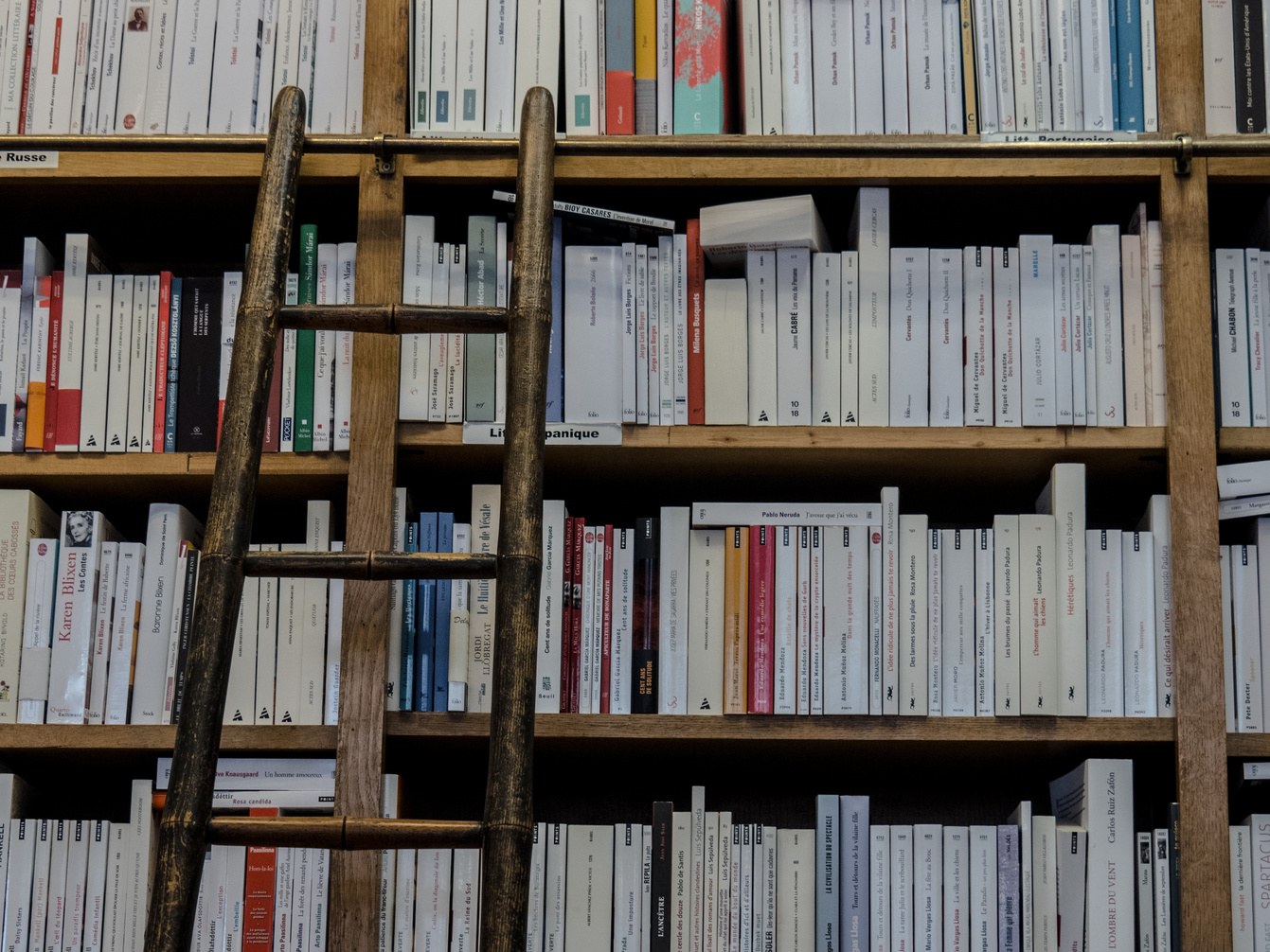 Library Shelves with Ladder